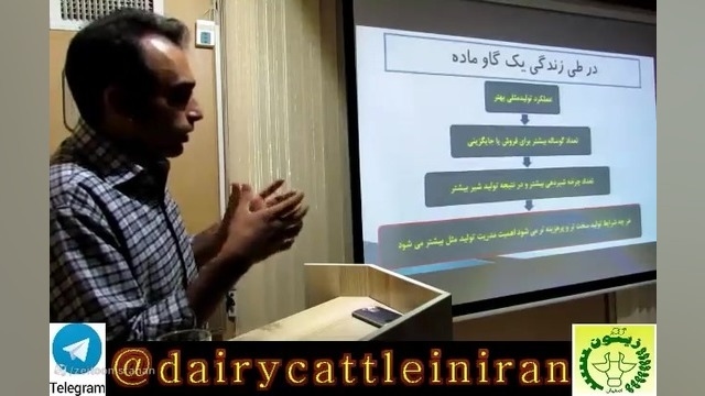 مدیریت تولید مثلی پس از زایش در گاو شیری