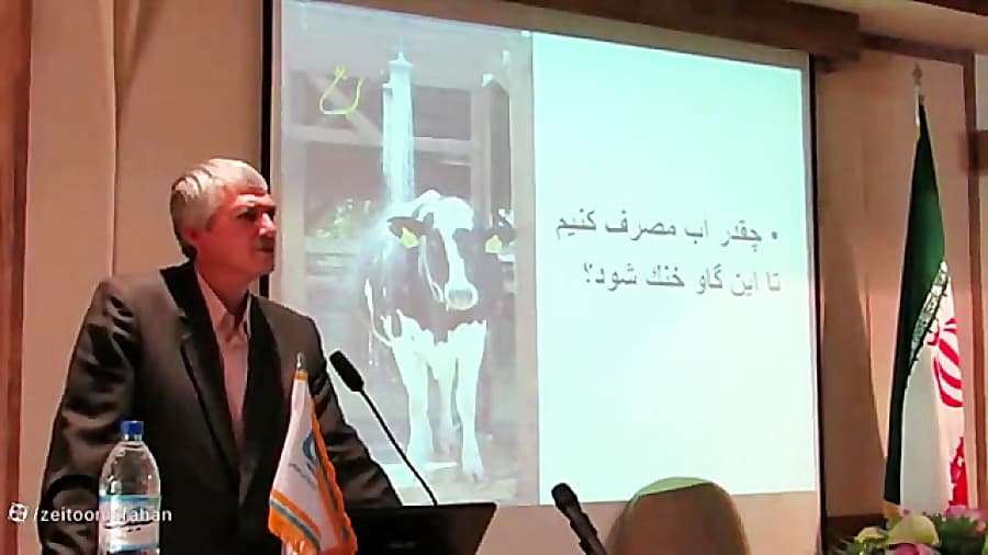 درمان سندروم واکلی در گاو شیری